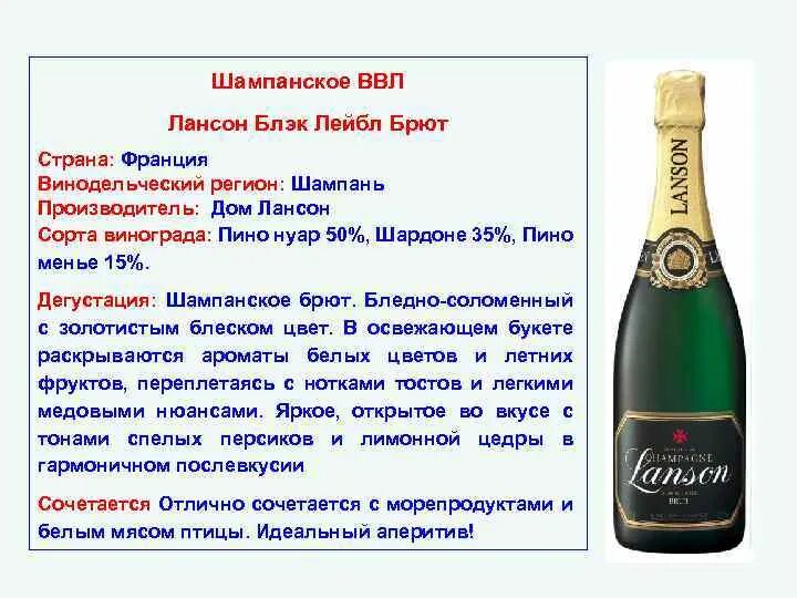 Сорт игристого вина. Различие шампанского и игристого вина. Шампанское брют бристоль. Чем отличается вино. Шампанское солнечная долина брют.