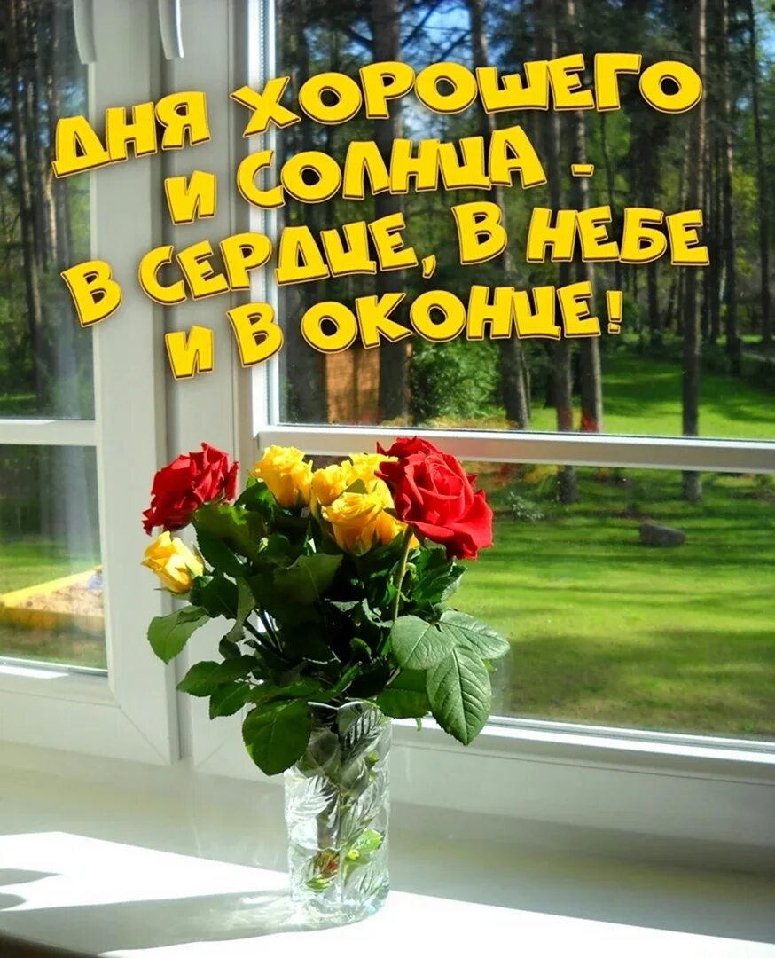 Сегодня была замечательная погода. Великолепного настроения. Прекрасного дня великолепного настроения. Весеннее настроение. Открытки с добрым утром весенние.