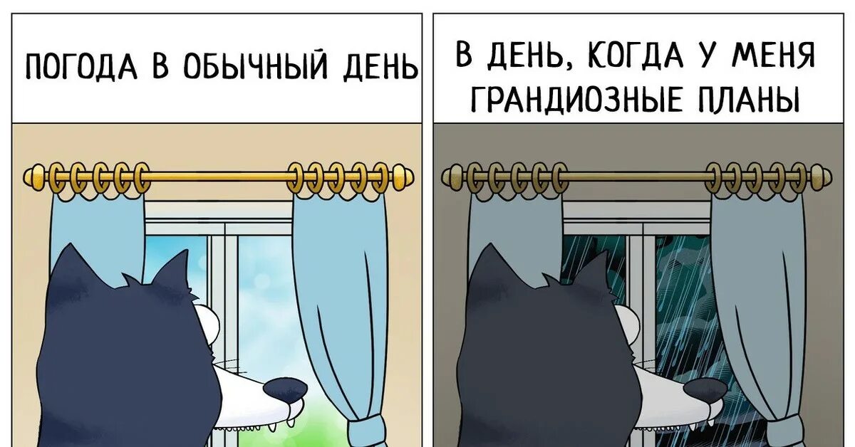 Какие планы у меня их нет пью