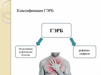 Гэрб аллергия