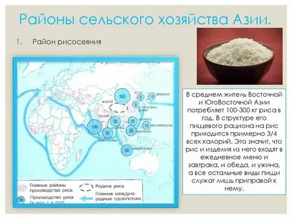 Ведущие отрасли азии