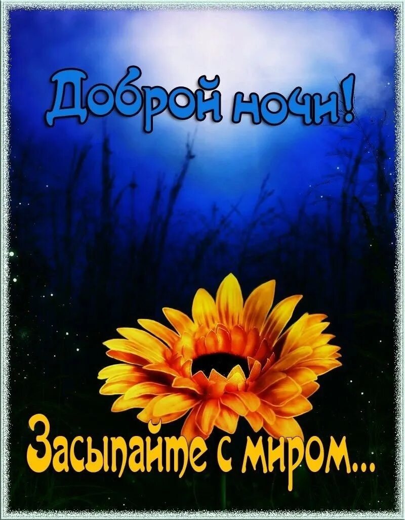 Открытки спокойной ночи красивые. Ночи доброй и спокойной с пожеланиями красивые. Спокойной ночи с герберами. Спокойной ночи картинки красивые. Открыточки спокойной ночи.