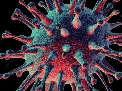 H5n1 virus