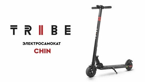 Tribe самокат