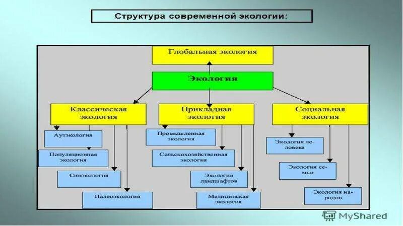 Основные направления экологического развития. История развития экологии. структура классической экологии. первый этап развития экологии. этапы истории экологии.
