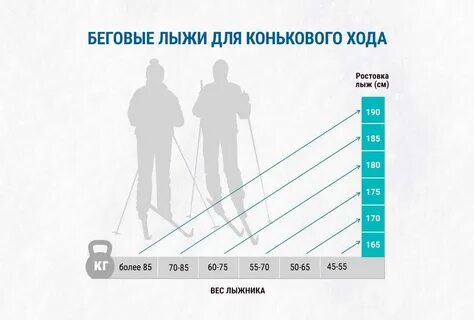 Рейтинг беговых лыж для конькового хода