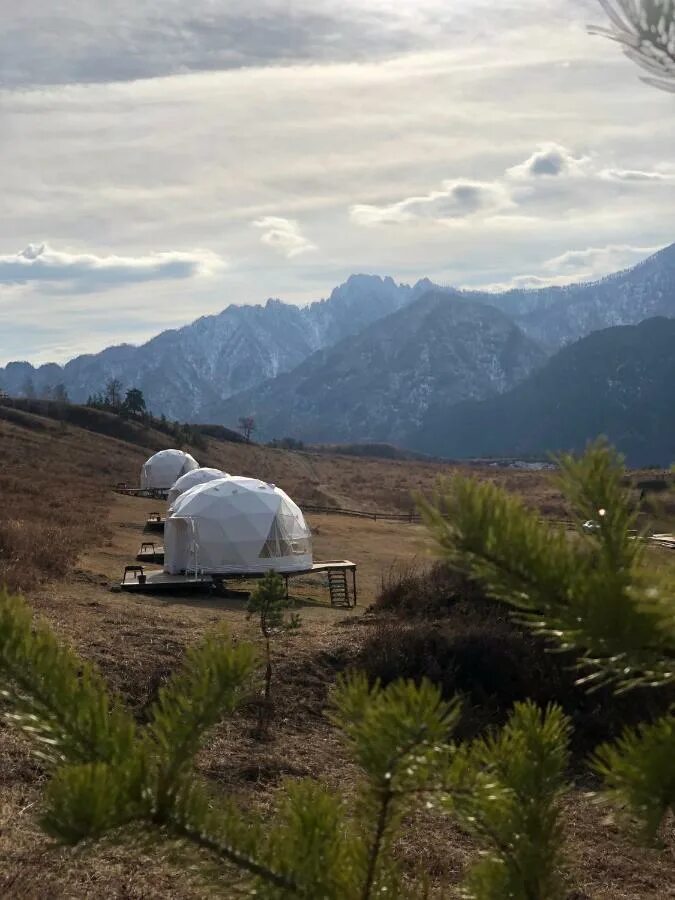 Парк отель ая зима. Cloud park altay. Cloud park altay. Клауд парк алтай адрес. Cloud park altai.
