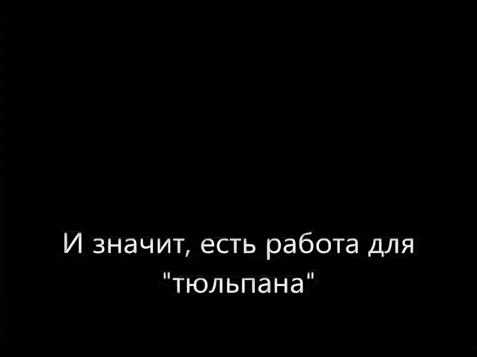 Черный тюльпан песня текст. Розенбаум черный тюльпан слова. Чёрный тюльпан текст песни. Чёрный тюльпан Розенбаум текст. Чёрный тюльпан песня текст.