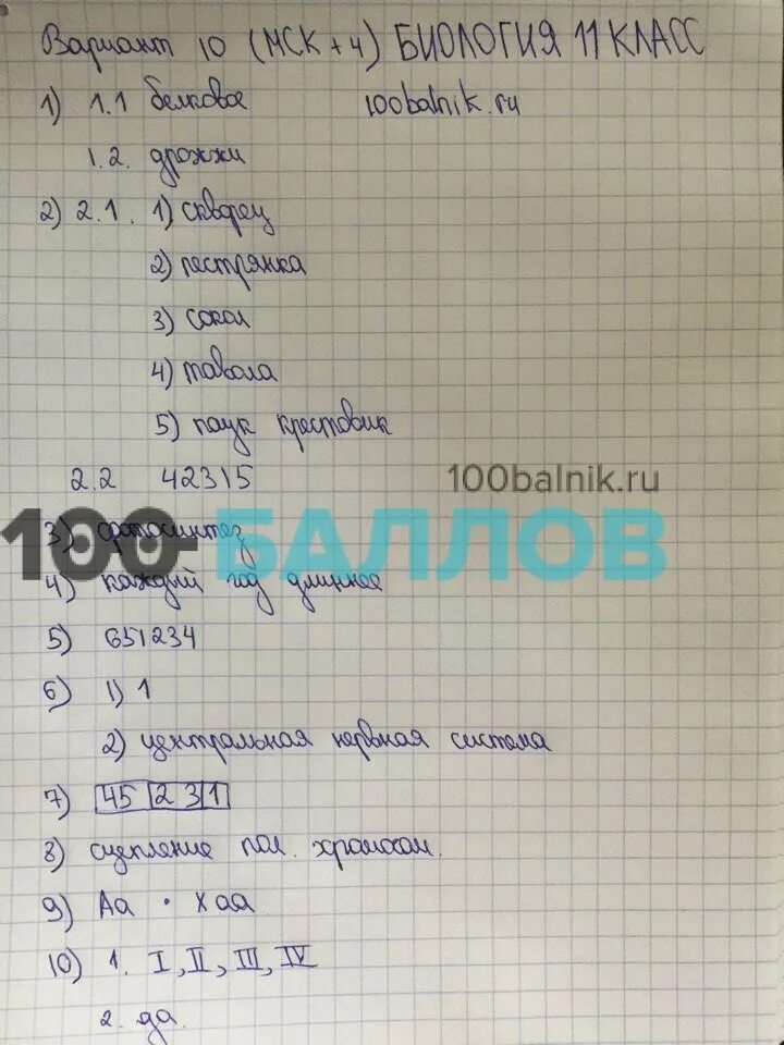 100 бальник впр 8 класс русский