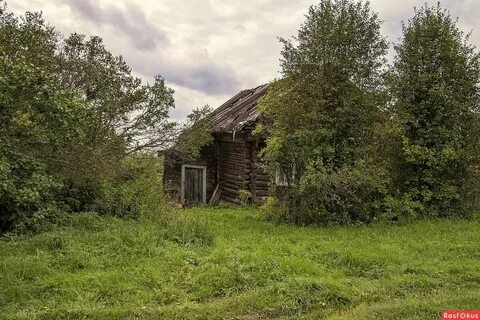 Деревни в твери
