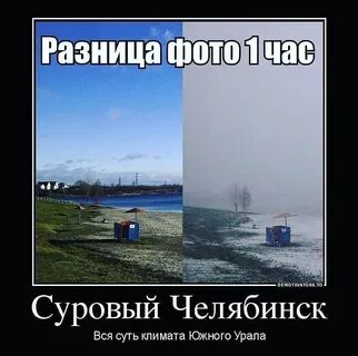 Суровый суть