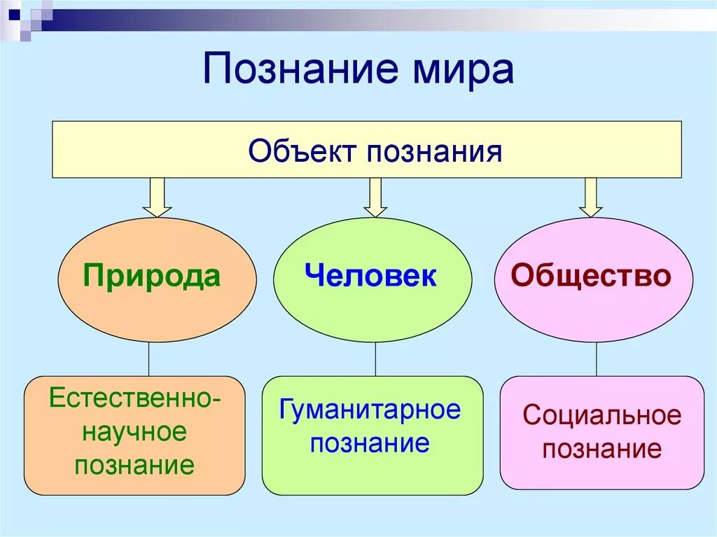 Познание. Человек и познание Обществознание.