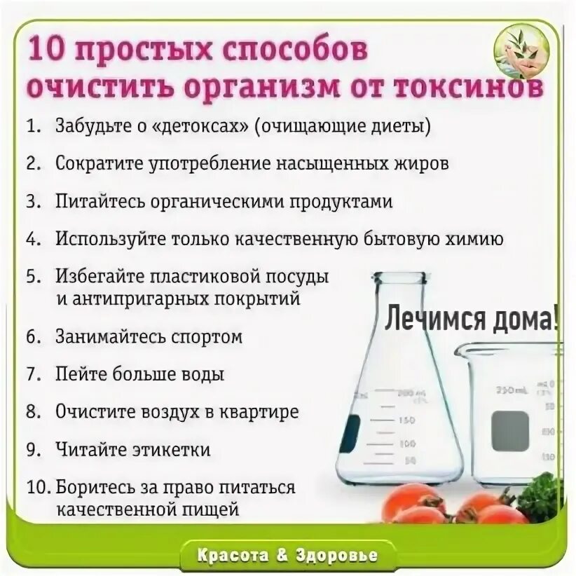 Молоко токсины. Способы очистки организма. классификация методов очищения организмов от токсинов. молоко очищает организм от токсинов. 15 отличных способов очистить организм!!!.