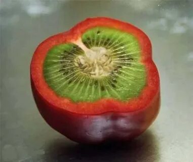 Fruits 24