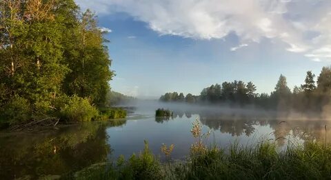 Утро на озере