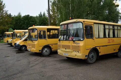 11 школьных автобусов