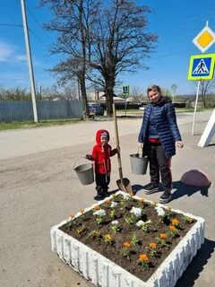 Белая калитва коксовый