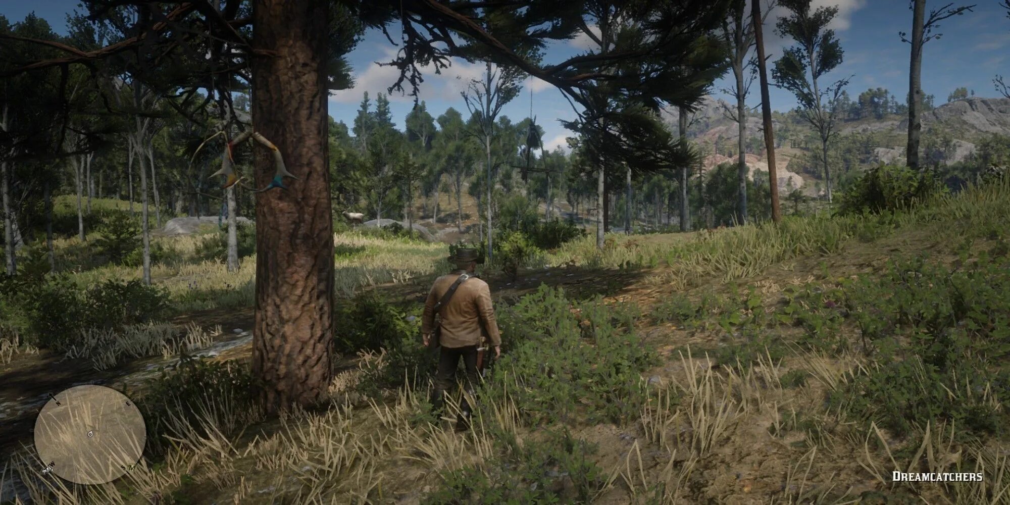 Все ловцы снов rdr 2. Игра red dead redemption 2. Ловцы снов rdr 2 тайна. Red dead redemption 2 ловцы. Rdr 2 ловцы снов карта.