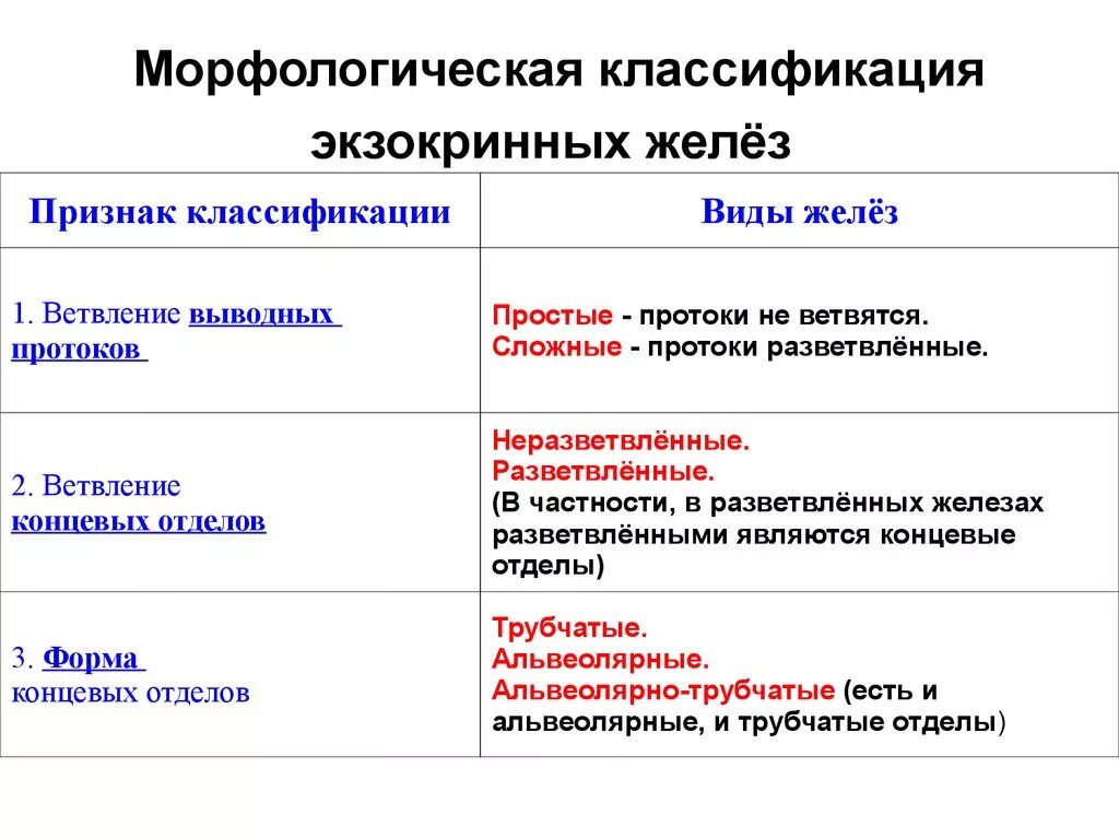 Морфологическая классификация желез внешней секреции. Морфологическая классификация экзокринных желез. Морфофункциональная классификация желез таблица. Морфологическая характеристика желез.