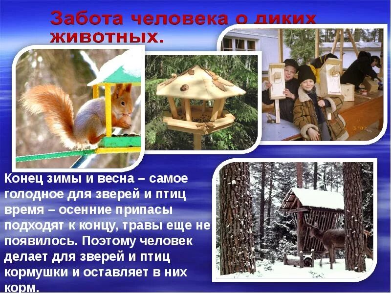 Помощь животным в зимнее время. Поможем животным зимой. как помочь с животными зимой. как помочь животным зимой. забота зимой о птицах и животных.