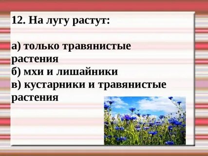На лугу ответить на вопросы