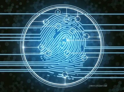 Key fingerprints