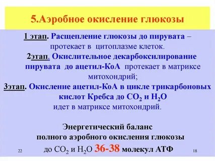 Окисление 1 моль глюкозы