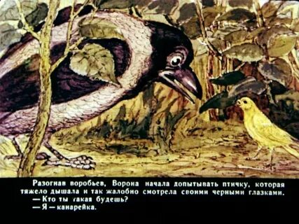 Сказка про воронушку и желтую канарейку