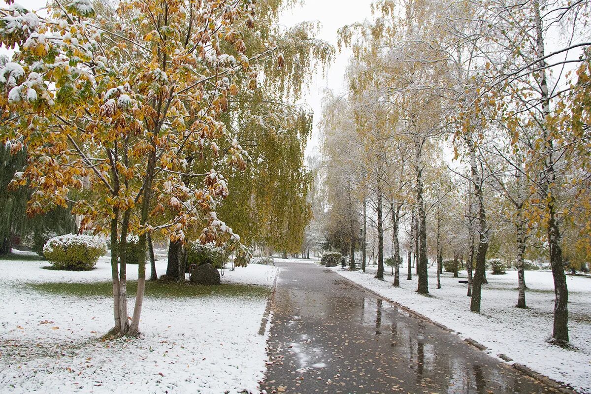 Толстого 1 снег. Первый снег в городе. Снег в октябре Вознесенский. Орск поздняя осень первый снег. Первый снег вид пейзажа.