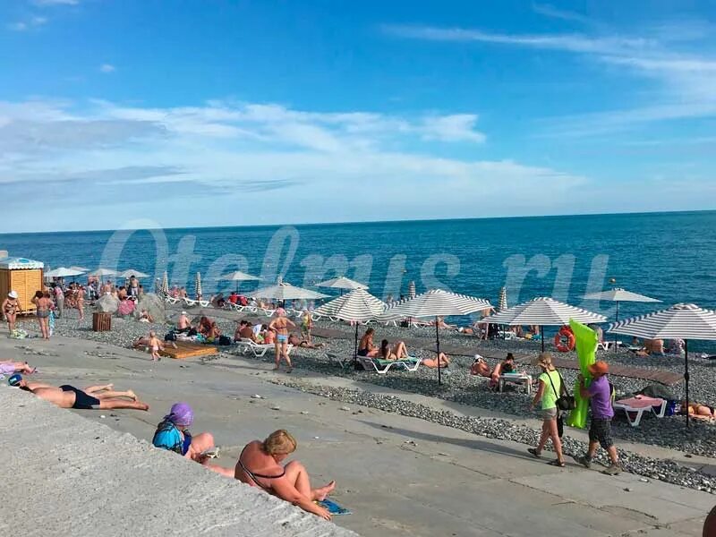 Море сейчас камеры адлера