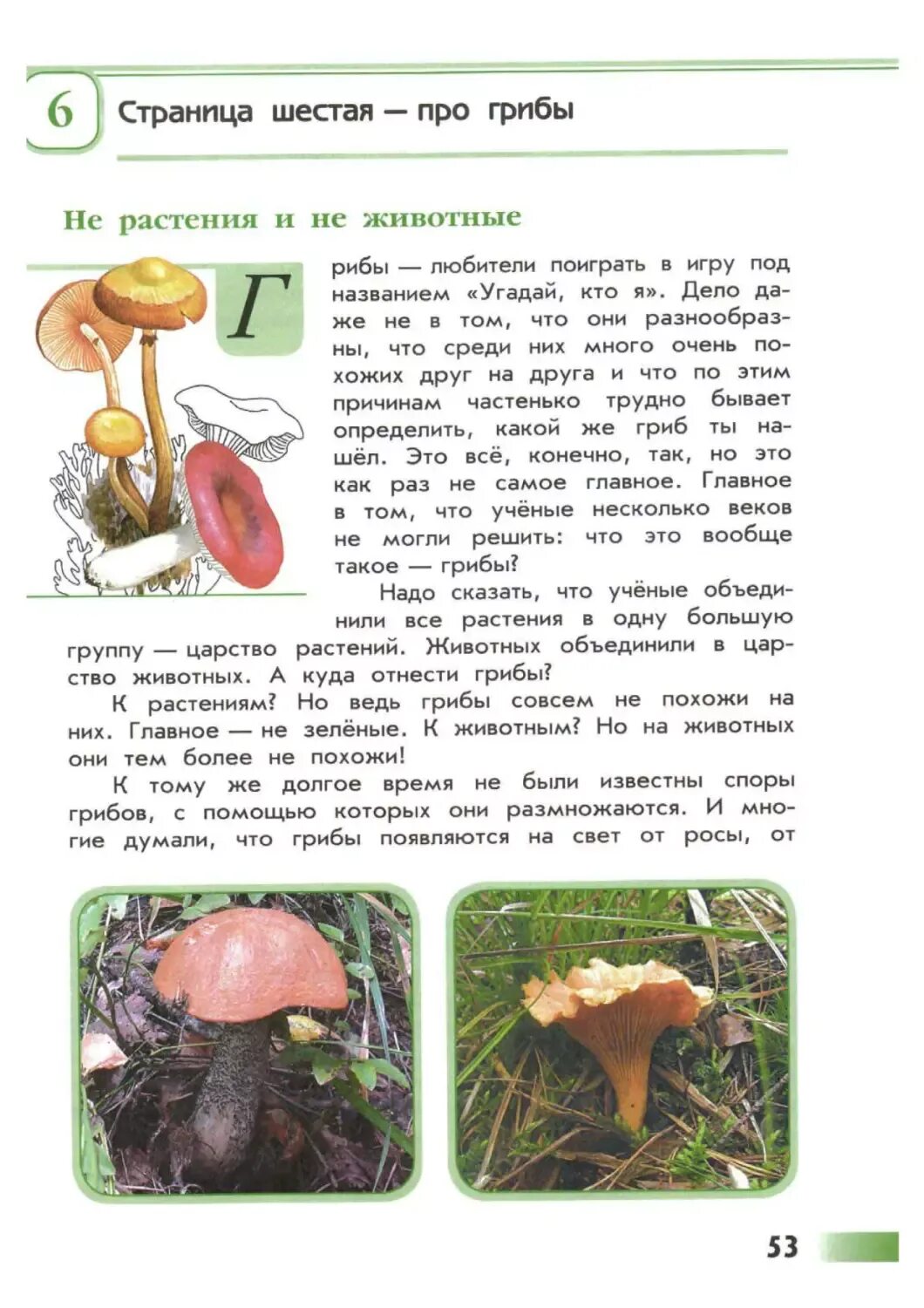 Книга зеленые страницы текст коварные двойники. Зеленые страницы глава о грибах. Книга зеленые страницы про грибы. Зелёные страницы 3 класс грибы. Плешаков зеленые страницы 3 класс о грибах.