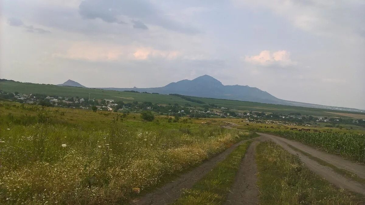 Село садовое Ставропольский край Предгорный район. Поселок Винсады Ставропольский край. Хутор садовый Предгорный район. Село Юца Предгорный район. Х средний ставропольский край