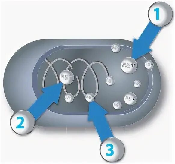 Ионы серебра. Ионы серебра фото. Как выглядят ионы серебра. Как действуют ионы серебра. Ионы серебра можно обнаружить