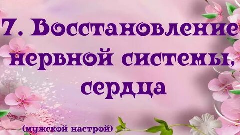 Настрои сытина нервная система