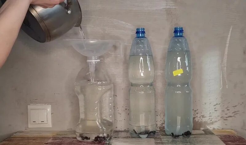 Сок березовый в бутылках с изюмом пластиковых. Хранение березового сока в пластиковых бутылках. вино из березового сока с изюмом в пластиковых бутылках. березовый сок квас с изюмом в пластиковых бутылках. перевернутая бутылка.