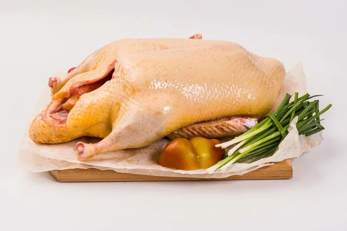 Мясо гуся калорийность на 100. Гусь ккал. Жареный гусь на тарелке. Гусь калории. Мясо гуся калорийность.