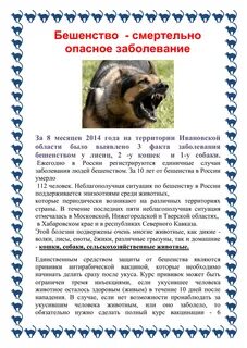 Причины бешенства