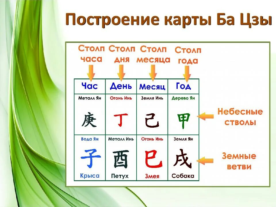 Стихии Бацзы. Китайская астрология система ба Цзы. Дерево Инь иероглиф Бацзы. Иероглифы Бацзы. Бадзы калькулятор с расшифровкой