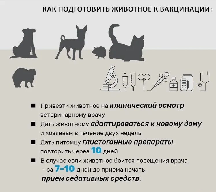 Подготовить как животные