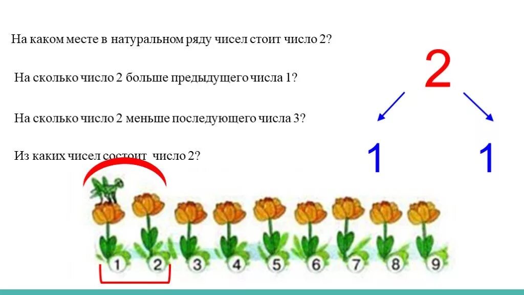 Чем цифры отличаются от цифр. Образование числа 2 задание для дошкольников. Место числа в числовом ряду задания. Место числа 2 в числовом ряду. Числовой ряд для дошкольников.