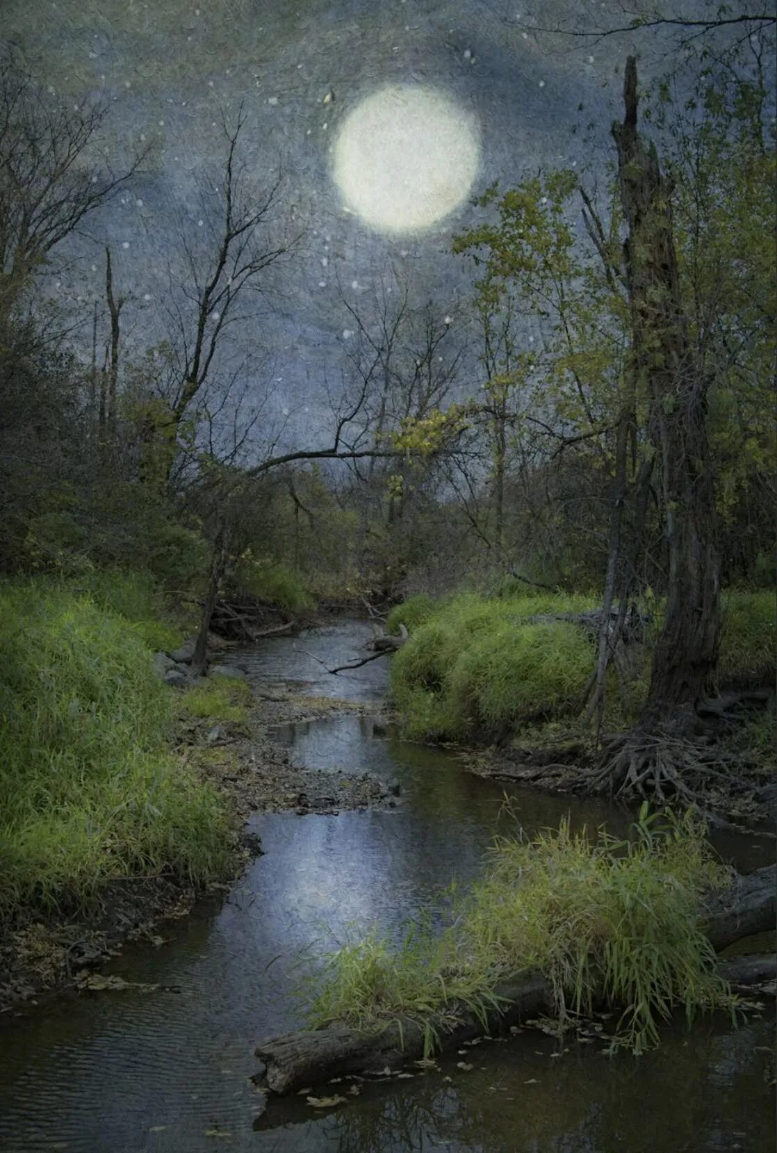 Лунном болоте. Ночь река лес. Луна река. Ночное болото. Болото ночью.