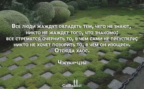 Дзен философия жизни
