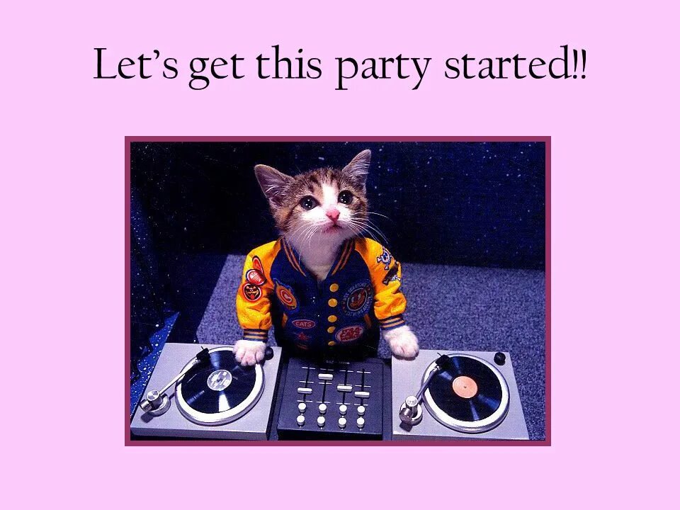 Let's get Party started. Lets start. Вечеринка Мем. Lets start для презентации. Get this party