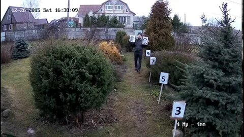 Теле2 видеонаблюдение