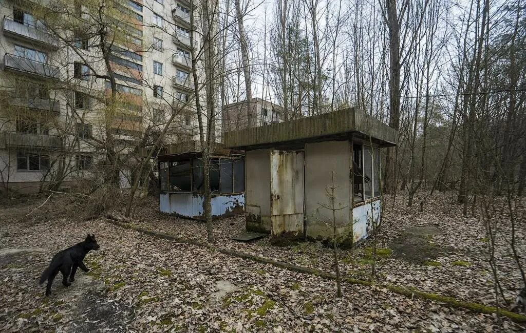 Чернобыль припять сейчас 2025. Припять чаэс 2025. город припять 2025. чернобыль город 2025. чернобыль припять сейчас.