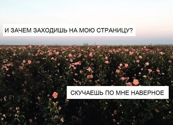 Не заходить на ее страницу. Зачем ты заходишь на мою страницу. ты заходишь на мою страницу. заходит на страницу. зачем зашёл на мою страницу.