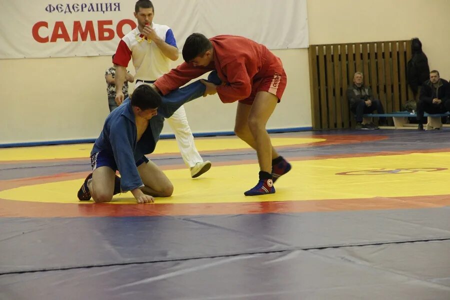 Самбо в нахабино для детей. Рахматуллин раис халитович самбо. Самбо мытищи. Самбо мытищи мгер папян. Богомолов самбо мытищи.