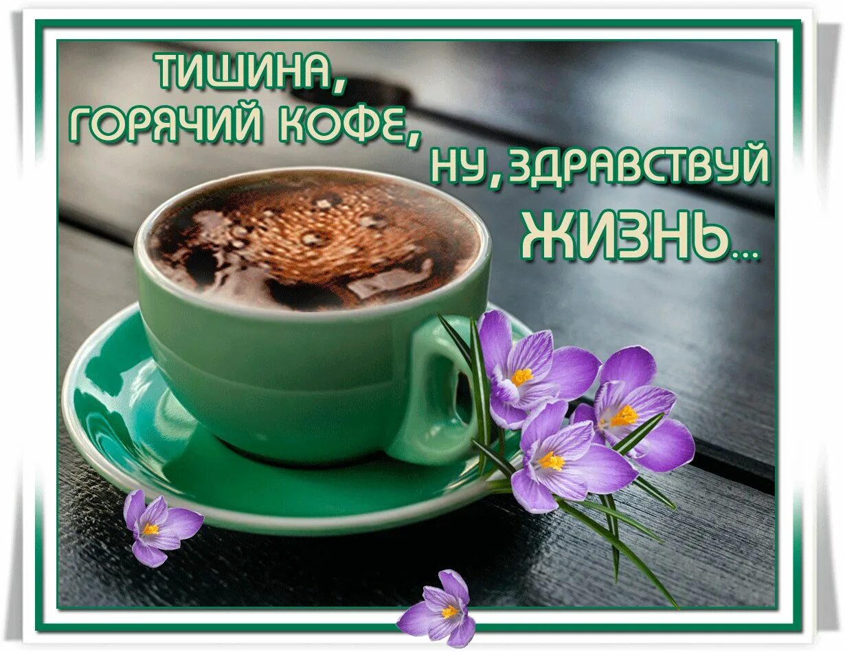 Веселое приветствие с добрым утром. Открытки прикольные для поднятия настроения мужчине. Утро ты само то хоть выспалось. Ну здравствуй утро. Здрасте с добрым утром.