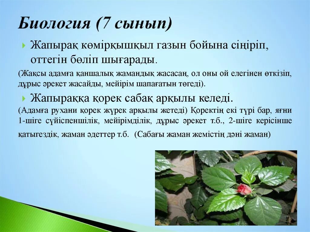 Биология 7 сынып сабақ. Биология 7 сынып сабақ. Учебник по биологии 7 класс. Биология учебник. Биология 7 сынып сабақ.