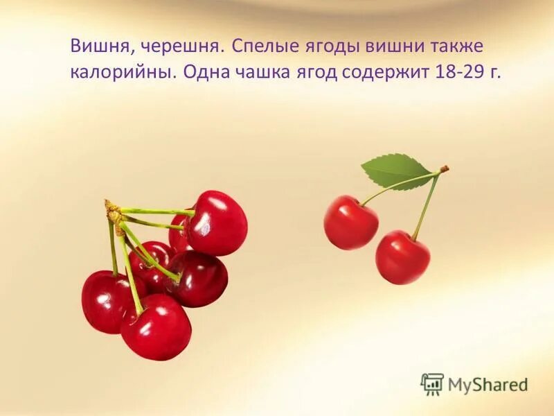 Загадка про вишню. Презентация на тему черешня. Стихи о вишне ягоде. Загадка про черешню. Вишня алая спелая минус